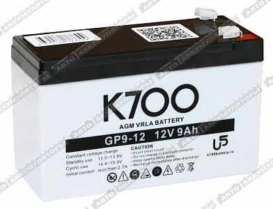 Тяговый аккумулятор GP 9-12 - фото